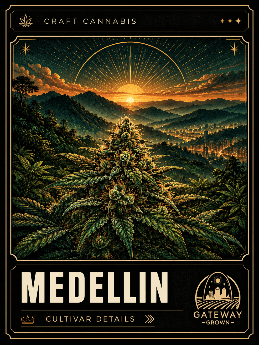 Medellin cultivar artwork